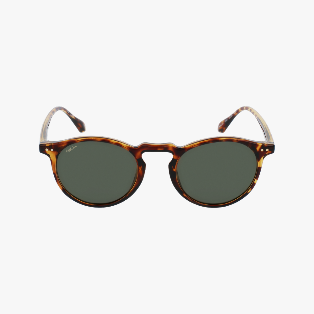 GAFAS DE SOL LULI carey - vista de frente