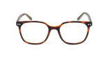 GAFAS GRADUADAS niños AUGUSTIN carey/verde - vista de frente