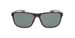 GAFAS DE SOL hombre BORJA carey - vista de frente