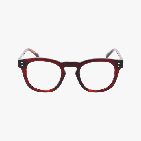 GAFAS GRADUADAS hombre CARACTÈRES ÉLÉGANT carey vista de frente