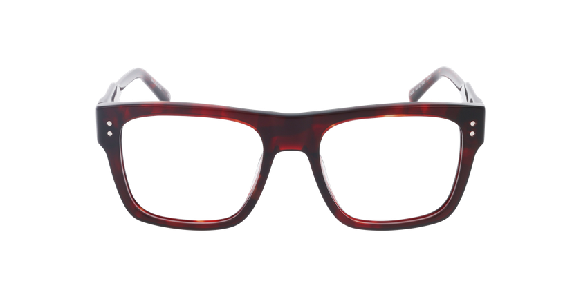 GAFAS GRADUADAS hombre CARACTÈRES INGÉNIEUX carey - vista de frente