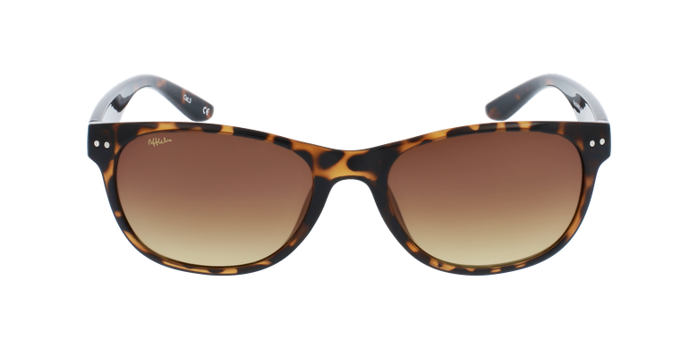 Gafas de sol AFFLELOU MAMBO careyvista de frente Gafas de sol AFFLELOU MAMBO careyvista de frente
