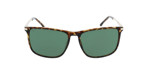 GAFAS DE SOL hombre KAULI POLARIZED carey/doradovista de frente