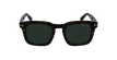 GAFAS DE SOL hombre DAX marrón - vista de frente
