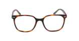 GAFAS GRADUADAS niños AUGUSTIN carey/verde - vista de frente