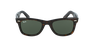 GAFAS DE SOL WAYFARER carey