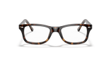 GAFAS GRADUADAS RX5228 carey - vista de frente