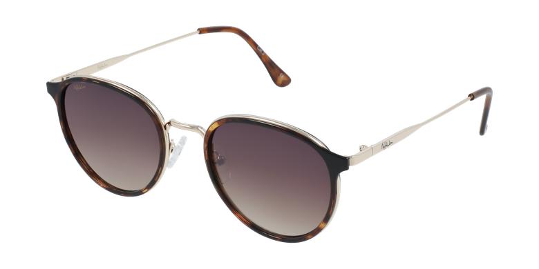 Gafas de sol AVILES carey/dorado Gafas de sol AVILES carey/dorado