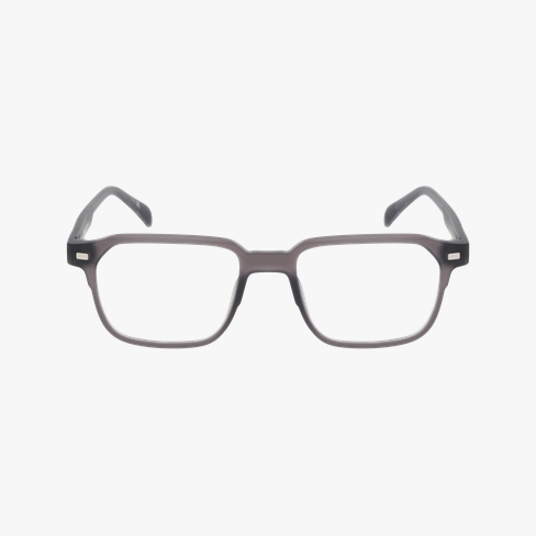 GAFAS GRADUADAS hombre FIRMIN gris vista de frente