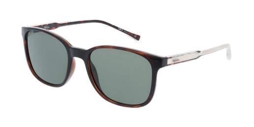 GAFAS DE SOL hombre CAYETANO carey