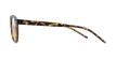 GAFAS GRADUADAS mujer MAGIC 49 carey - vista de lado