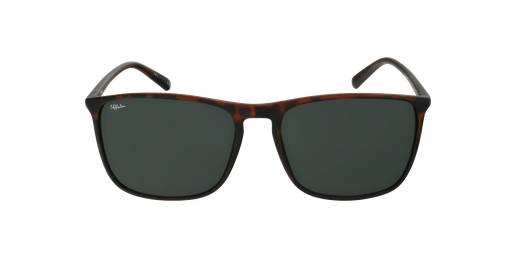 GAFAS DE SOL hombre PARDO careyvista de frente