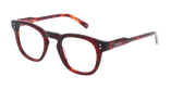 GAFAS GRADUADAS hombre CARACTÈRES ÉLÉGANT carey - vista de frente