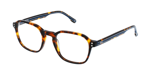 GAFAS GRADUADAS hombre MAGIC207 carey