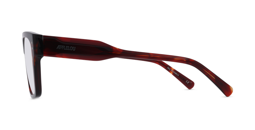 GAFAS GRADUADAS hombre CARACTÈRES INGÉNIEUX carey - vista de frente