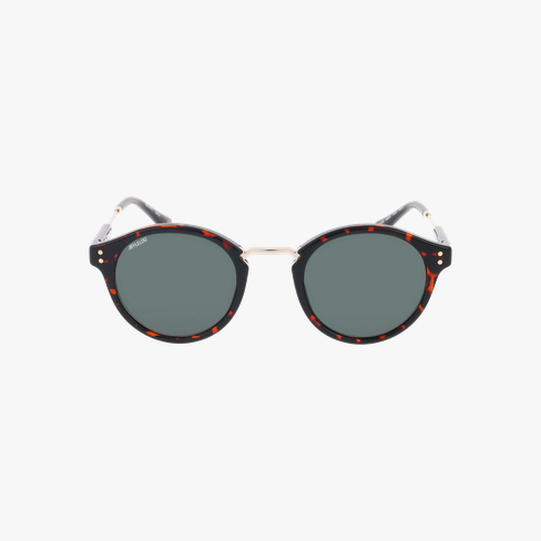 GAFAS DE SOL MOTTI carey/dorado vista de frente