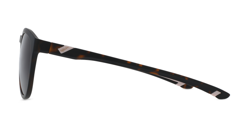 GAFAS DE SOL BUZZY POLARIZED carey - vista de frente