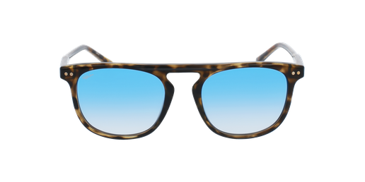 GAFAS DE SOL hombre NEWARK careyvista de frente