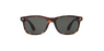 GAFAS DE SOL CARUCEDO carey