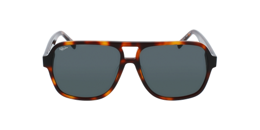 GAFAS DE SOL hombre DIMITRI careyvista de frente