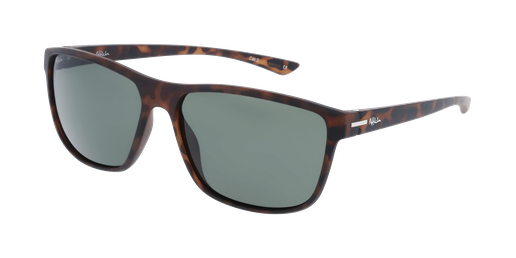 GAFAS DE SOL hombre BORJA carey