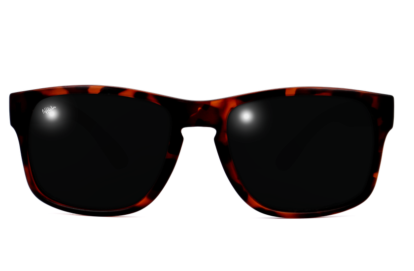 Gafas de sol hombre DYLAN POLARIZED carey - danio.store.product.image_view_face Gafas de sol hombre DYLAN POLARIZED carey - danio.store.product.image_view_face