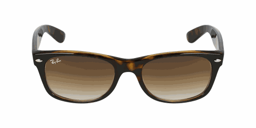 GAFAS DE SOL NEW WAYFARER negro/negro