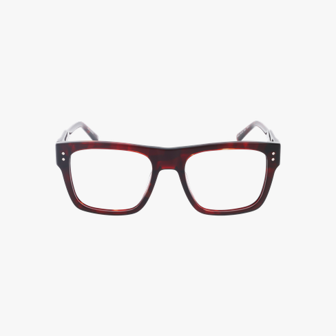 GAFAS GRADUADAS hombre CARACTÈRES INGÉNIEUX carey
