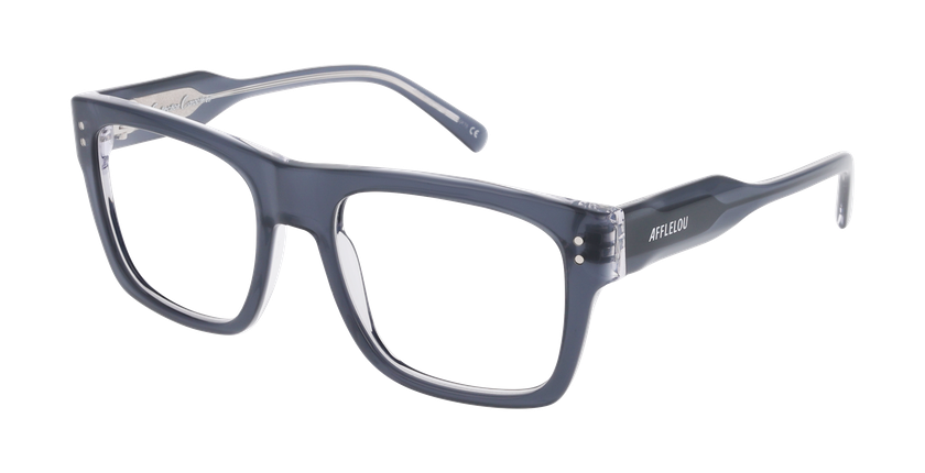 GAFAS GRADUADAS hombre CARACTÈRES INGÉNIEUX gris/cristal - vista de frente
