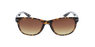 GAFAS DE SOL MAMBO carey