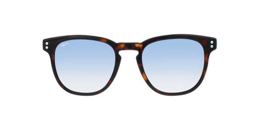 HC204SGBL