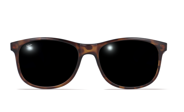 Gafas de sol hombre TAYLOR POLARIZED carey - danio.store.product.image_view_face Gafas de sol hombre TAYLOR POLARIZED carey - danio.store.product.image_view_face