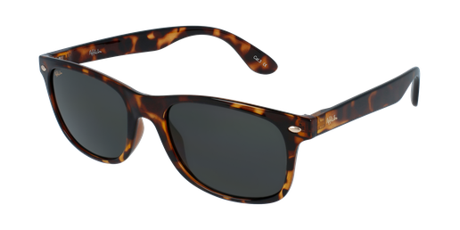 GAFAS DE SOL hombre CARUCEDO carey