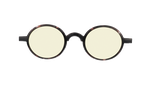 RC246YE01