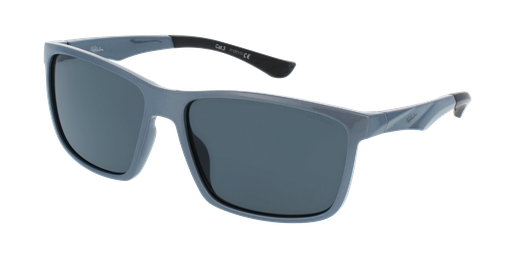 GAFAS DE SOL GABE POLARIZED gris