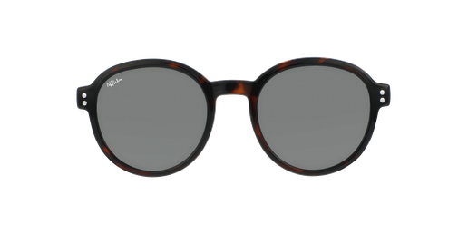 HC203SUGG