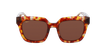 GAFAS DE SOL mujer LEONIE carey - vista de frente