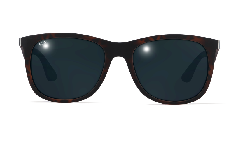 Gafas de sol hombre TIVOLI POLARIZED carey - danio.store.product.image_view_face Gafas de sol hombre TIVOLI POLARIZED carey - danio.store.product.image_view_face