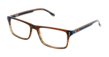 GAFAS GRADUADAS hombre MAGIC 206 marrón - vista de frente