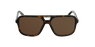 GAFAS DE SOL hombre DG4354 carey/marrón