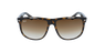 GAFAS DE SOL hombre 0RB4147 carey