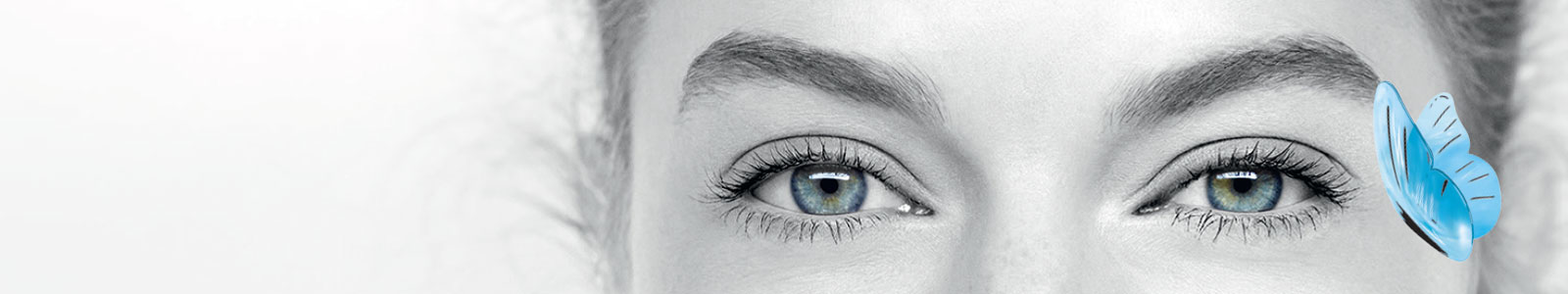 danio.store_catalog.contact-lens.banner.alt