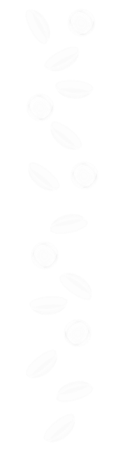 Lentillas