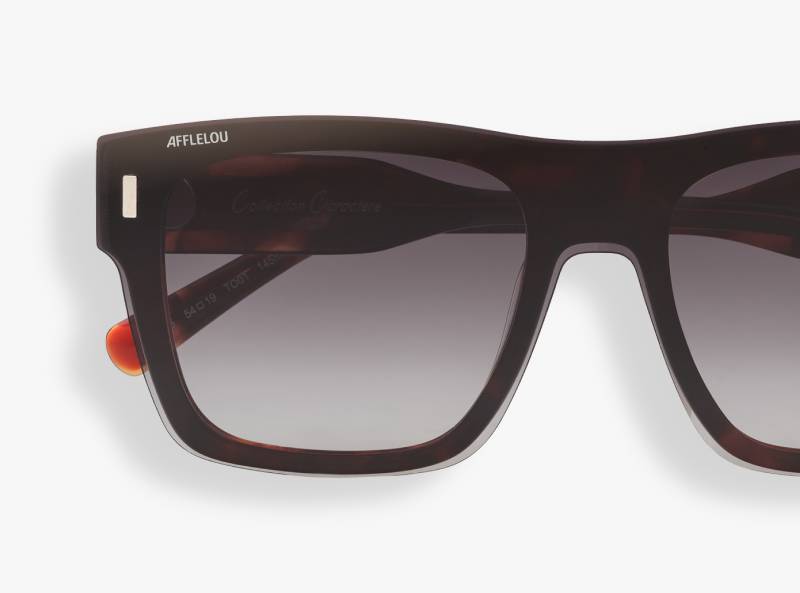 GAFAS GRADUADAS hombre CARACTÈRES INGÉNIEUX carey