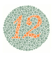 PERCEPCIÓN DEL COLOR