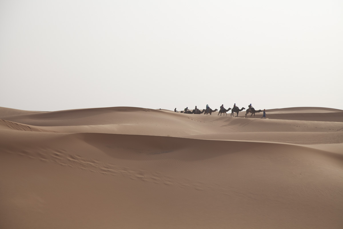 desierto de los niños
