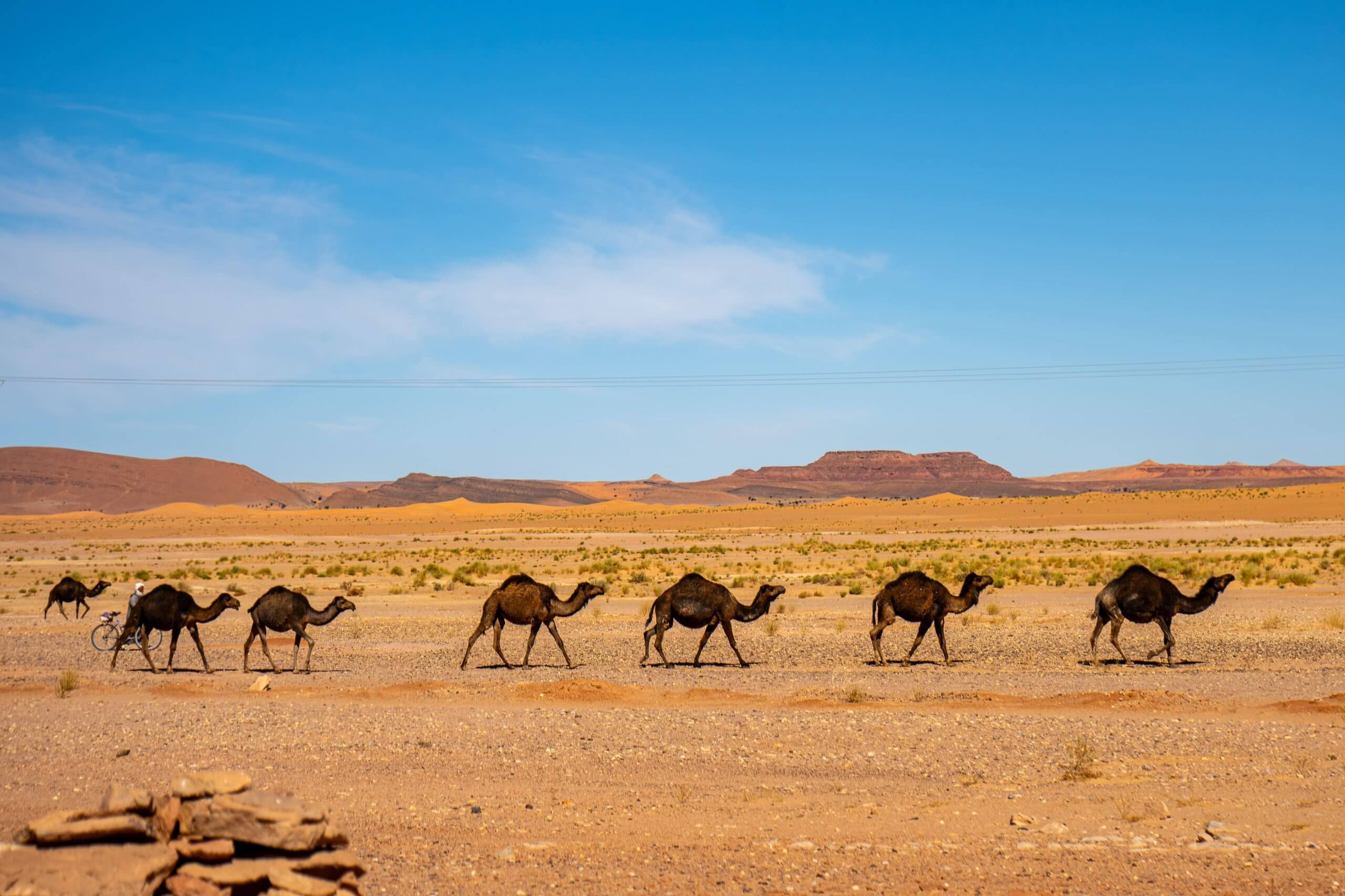 El Desierto de los Niños 2025: últimos días de experiencia